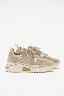 SNEAKER DWRS PLUTO